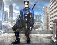Nightwing (DC Universe) Custom Action Figure