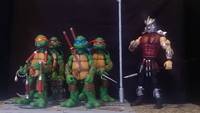 Raphael (Teenage Mutant Ninja Turtles) Custom Action Figure