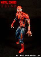 Spiderman Marvel Zombies (Marvel Legends) Custom Action Figure
