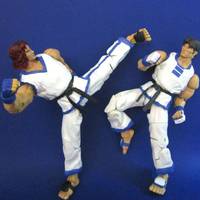 Hwoarang (Tekken) Vs. Kim Kaphwan (FF-KOF) (Tekken) Custom Action Figure