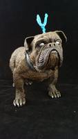 Lockjaw V2 (Marvel Legends) Custom Action Figure