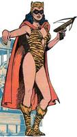 TIGRESS I Paula Brooks Young All-Stars Member (DC Universe) Custom Action Figure