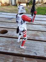 110th 'Blood Pack' Assualt Battalion Commander (Star Wars) Custom Action Figure