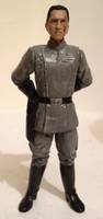 Imperial (Clone) Stormtrooper Field Officer (Star Wars) Custom Action Figure