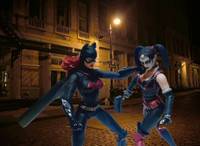 The Batgirl (DC Universe) Custom Action Figure