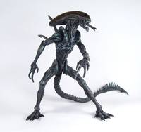 HOT TOYS AVP Alien 12" Figure Repaint (Alien vs Predator) Custom Action Figure
