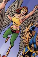 HAWKGIRL Shiera Sanders Earth-2 All-Star Squadron (DC Universe) Custom Action Figure