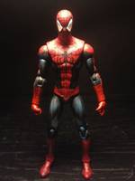Spiderman (Marvel Universe) Custom Action Figure