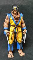 Akumarine (Marvel vs Capcom) Custom Action Figure