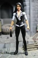 Lois Lane(Office Attire) (DC Universe) Custom Action Figure