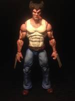 Logan (Marvel Universe) Custom Action Figure