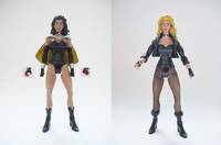 Black Canary V. 3 (Justice League) Custom Action Figure