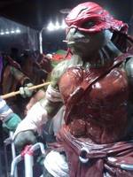 Tmnt (Teenage Mutant Ninja Turtles) Custom Action Figure