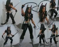 Bay City Belles , Le Renard Noir , (the Black Fox) (Realm Universe) Custom Action Figure