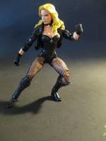Black Canary (DC Universe) Custom Action Figure
