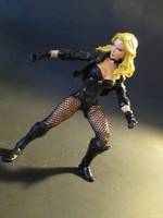 Black Canary (DC Universe) Custom Action Figure