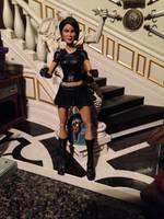 Selina Kyle Secret Identity Catwoman (DC Universe) Custom Action Figure