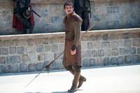 Oberyn Martell (the Red Viper) (Game of Thrones) Custom Action Figure
