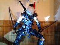 Usagi Yojimbo Ninja Assassin (Teenage Mutant Ninja Turtles) Custom Action Figure