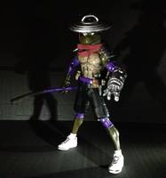 Donatello (Teenage Mutant Ninja Turtles) Custom Action Figure
