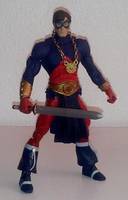 SWORD of the ATOM Ray Palmer (DC Universe) Custom Action Figure