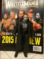 Custom "Sting" Figure (Wrestling) Custom Action Figure