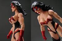 Red Lantern WONDER WOMAN (DC Universe) Custom Action Figure
