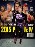 Custom WWE "STARDUST in PURPLE" Figure.. (Wrestling) Custom Action Figure