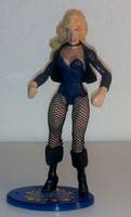 BLACK CANARY II Dinah Laurel Lance (DC Universe) Custom Action Figure
