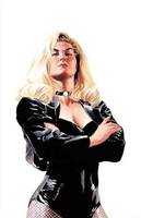 BLACK CANARY II Dinah Laurel Lance (DC Universe) Custom Action Figure