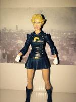 Lady Black Hawk (DC Universe) Custom Action Figure