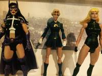 Lady Black Hawk (DC Universe) Custom Action Figure