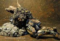 Spartan SNIPER (Halo) Custom Action Figure