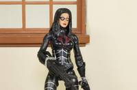Beautiful Baroness (50th Anniversary) (G.I. Joe) Custom Action Figure