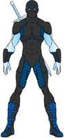 The Elite - Winterblade (Original) Custom Action Figure