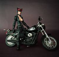 3.75" Catwoman (DC Universe) Custom Action Figure