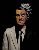 DCUC Two Face (DC Universe) Custom Action Figure