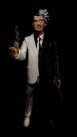 DCUC Two Face (DC Universe) Custom Action Figure
