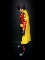 Robin (Batman) Custom Action Figure