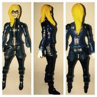 Lady Blackhawk (DC Universe) Custom Action Figure