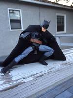Batman (DC Direct) Custom Action Figure