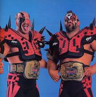 LOD - Hawk & Animal (Wrestling) Custom Action Figure