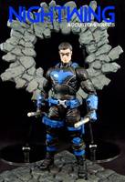 Nightwing (Tactical) (DC Universe) Custom Action Figure