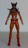 Vixen Mari Jiwe Mccabe Justice League of America (Detroit) (DC Universe) Custom Action Figure