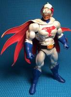 Mark (from Battle of the Planets) (Masters of the Universe) Custom Action Figure
