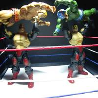 Legion of Doom (Masters of the Wrestling Universe) (Masters of the Universe) Custom Action Figure