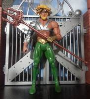 Aquaman (DC Universe) Custom Action Figure