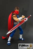 Marvel VS Capcom Strider Hiryu (Marvel vs Capcom) Custom Action Figure