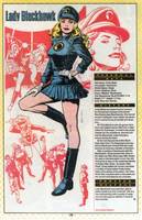 LADY BLACKHAWK Zinda Blake Birds of Prey & Blackhawks Member (DC Universe) Custom Action Figure