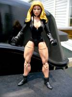 Dinah Lance - Black Canary (Legendary Comic Book Heroes) Custom Action Figure